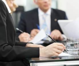 litigation support
